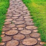 Цветники и клумбы: секреты красивого сада