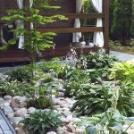 Как правильно ухаживать за садовыми деревьями?