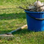 Как создать домашний офис для комфортной работы?