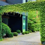 Планирование и зонирование сада