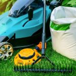 Как правильно поливать растения в саду?