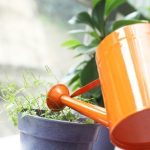 Осенние работы: подготовка участка к зиме