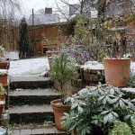 Как организовать место для отдыха в саду?