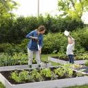 تخت های باغ برای تنبل ها: عکس ها و توصیه هایی برای ایجاد باغ سبزیجات