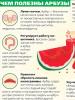 آیا هندوانه با تغذیه مناسب امکان پذیر است؟