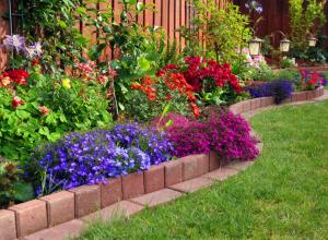 अपने हाथों से घर के सामने फूलों का बगीचा बनाना